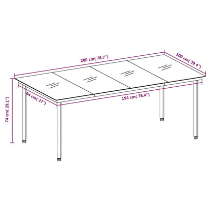 Garden Dining Table Black 200x100x74 cm Steel and Glass